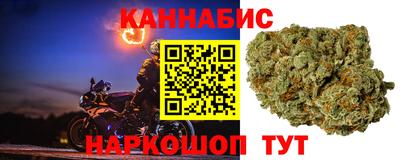 СК Пушкино